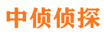 内江市场调查